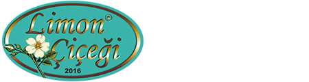 Limon Çiçeği Ankara Halı Yıkama