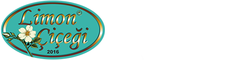 Limon Çiçeği Ankara Halı Yıkama